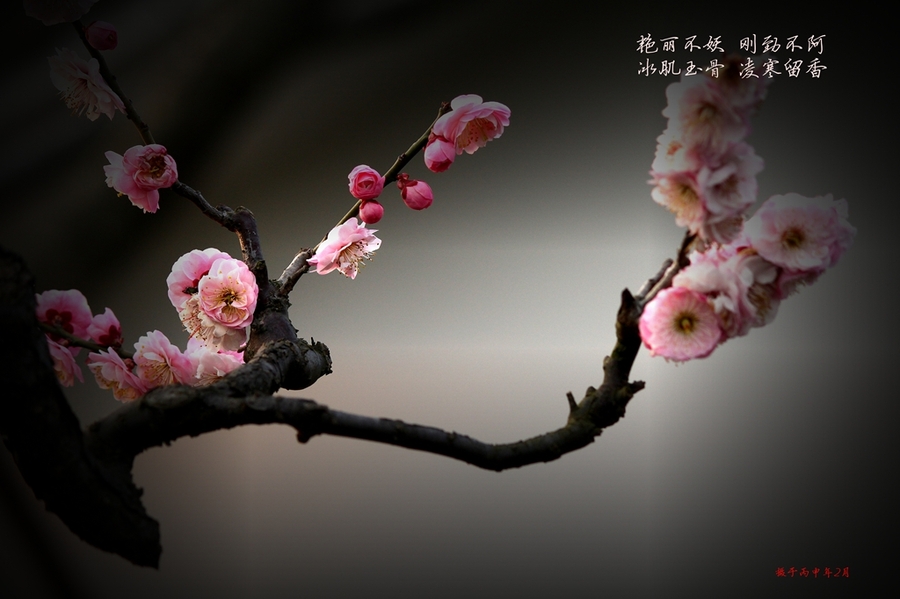 mile米乐(集团)-milesports