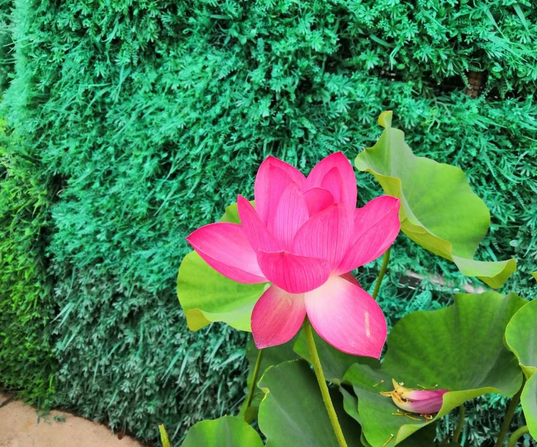 “米乐(mile)体育”
你所不知道的 就业前景好的专业！(图1)