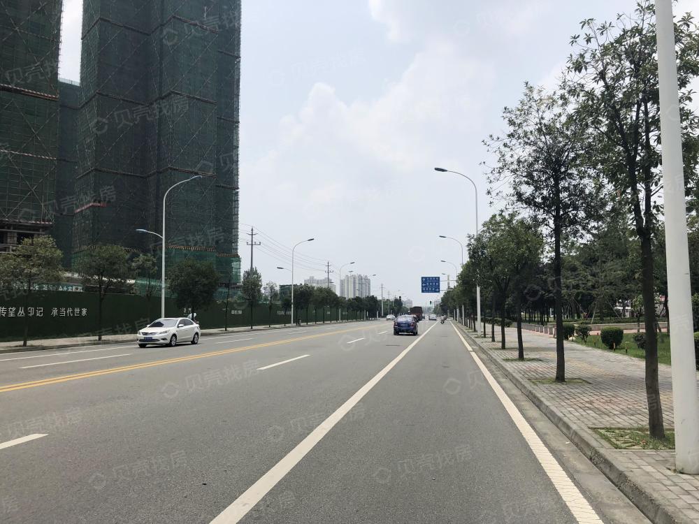 周涛为什么选择脱离中央电视台?她在节目中透露了原因‘米乐(mile)体育’(图6) mile米乐(集团)-milesports