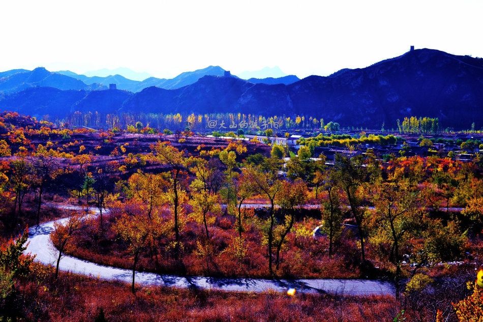 玄武公安分局领导来校交流平安校园建设工作‘米乐(mile)体育’(图3) mile米乐