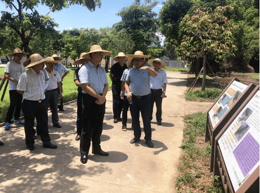 争取顺利通过验收!省林业局到黄圃镇调研省级地质公园建设情况‘mile米乐’(图4)
争取顺利通过验收!省林业局到黄圃镇调研省级地质公园建设情况‘mile米乐’(图4)